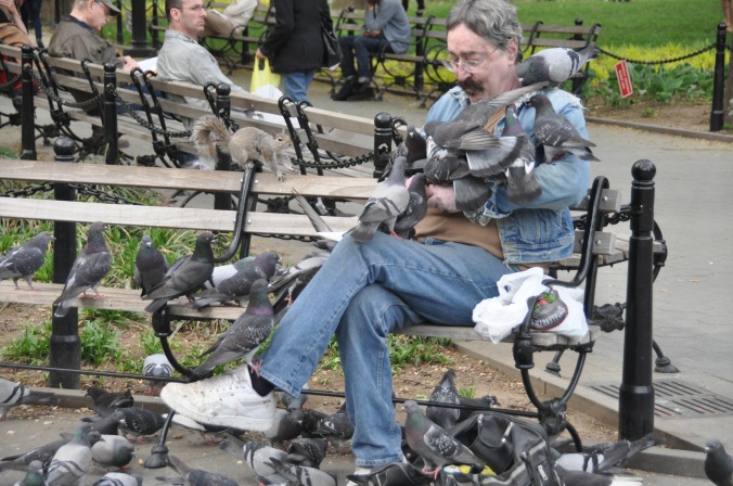 Man_with_many_pigeons_in_Washington_Square_Park,_New_York