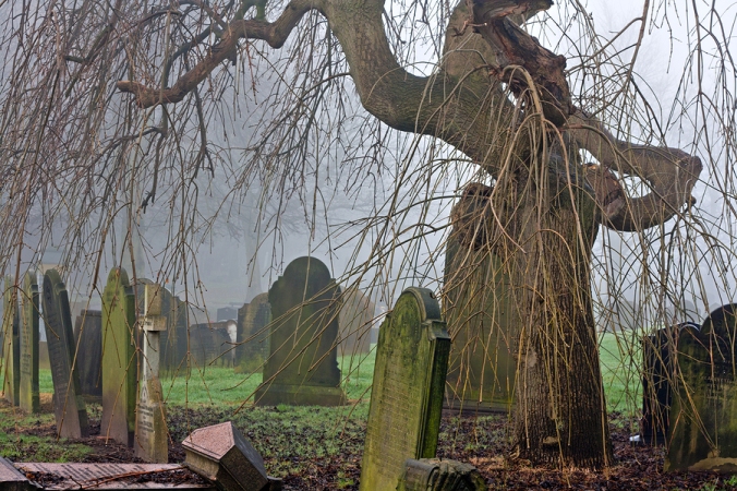 an old cemetery with weathered gravestones and a gnarled twisted tree in the background