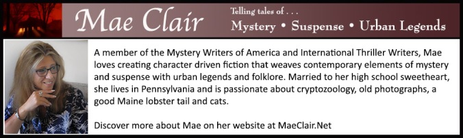 bio box for author Mae Clair